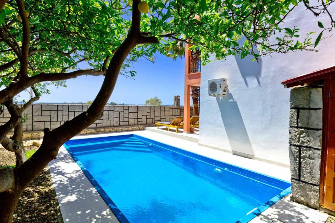 Patara Evleri Lejlighedshotel Gelemiş Eksteriør billede